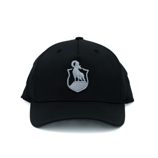 PRESERVE CAP BLACK PERF WHITE